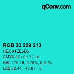 Color code: RGB 30 229 213 | qconv.com