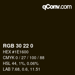 Color code: RGB 30 22 0 | qconv.com