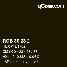 Color code: RGB 30 23 2 | qconv.com