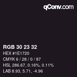 Código de color: RGB 30 23 32 | qconv.com