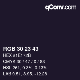 Color code: RGB 30 23 43 | qconv.com
