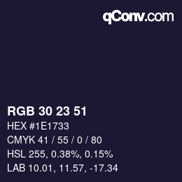 Color code: RGB 30 23 51 | qconv.com