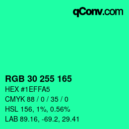 Color code: RGB 30 255 165 | qconv.com