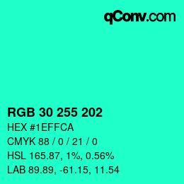 Color code: RGB 30 255 202 | qconv.com