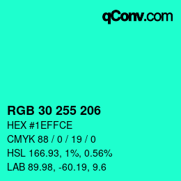 Color code: RGB 30 255 206 | qconv.com