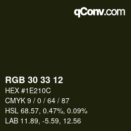 カラーコード: RGB 30 33 12 | qconv.com