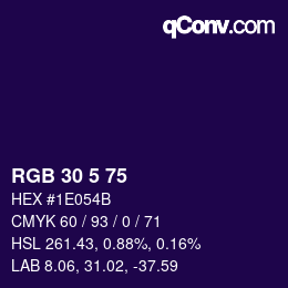 Color code: RGB 30 5 75 | qconv.com