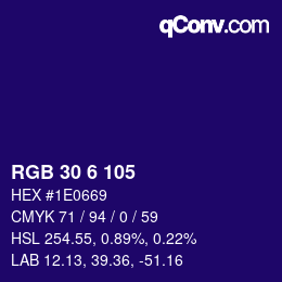 Color code: RGB 30 6 105 | qconv.com