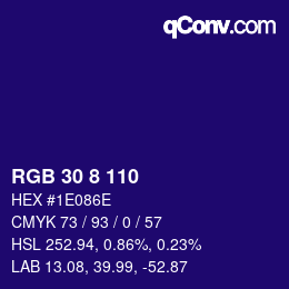 Color code: RGB 30 8 110 | qconv.com