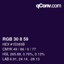 Color code: RGB 30 8 59 | qconv.com