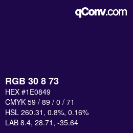 Color code: RGB 30 8 73 | qconv.com