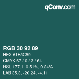 Color code: RGB 30 92 89 | qconv.com