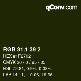 Color code: RGB 31.1 39 2 | qconv.com