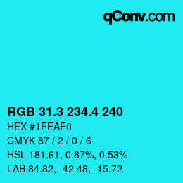 カラーコード: RGB 31.3 234.4 240 | qconv.com
