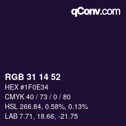 Color code: RGB 31 14 52 | qconv.com