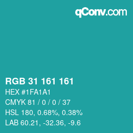 Color code: RGB 31 161 161 | qconv.com