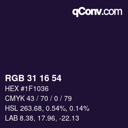 Color code: RGB 31 16 54 | qconv.com