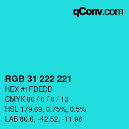 Color code: RGB 31 222 221 | qconv.com