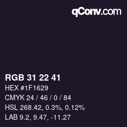 Código de color: RGB 31 22 41 | qconv.com