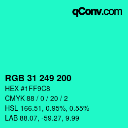 Color code: RGB 31 249 200 | qconv.com