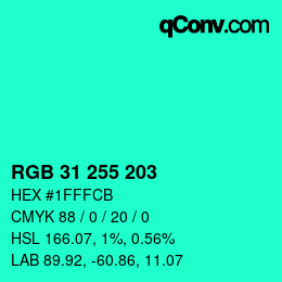 Color code: RGB 31 255 203 | qconv.com