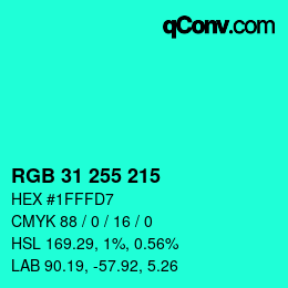 Color code: RGB 31 255 215 | qconv.com
