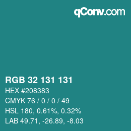 Color code: RGB 32 131 131 | qconv.com