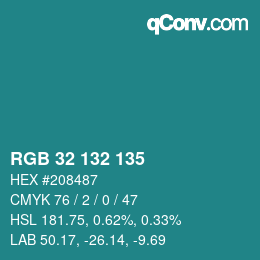 Color code: RGB 32 132 135 | qconv.com