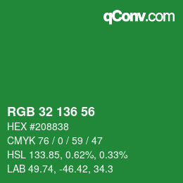Color code: RGB 32 136 56 | qconv.com