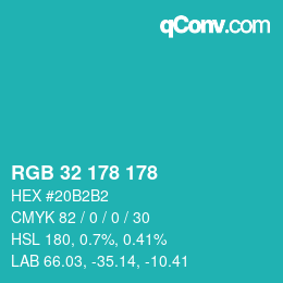 カラーコード: RGB 32 178 178 | qconv.com