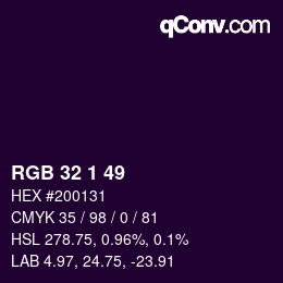 Color code: RGB 32 1 49 | qconv.com