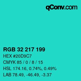 Color code: RGB 32 217 199 | qconv.com