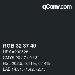 颜色代码: RGB 32 37 40 | qconv.com