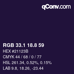 Color code: RGB 33.1 18.8 59 | qconv.com