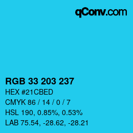 Color code: RGB 33 203 237 | qconv.com