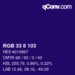 Color code: RGB 33 8 103 | qconv.com