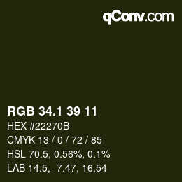 カラーコード: RGB 34.1 39 11 | qconv.com