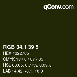 カラーコード: RGB 34.1 39 5 | qconv.com