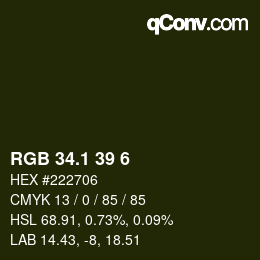 カラーコード: RGB 34.1 39 6 | qconv.com