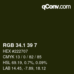 カラーコード: RGB 34.1 39 7 | qconv.com