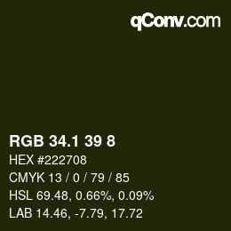 カラーコード: RGB 34.1 39 8 | qconv.com