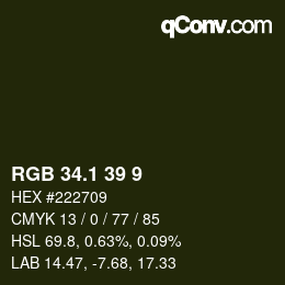 Color code: RGB 34.1 39 9 | qconv.com