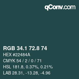 Color code: RGB 34.1 72.8 74 | qconv.com