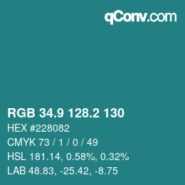 カラーコード: RGB 34.9 128.2 130 | qconv.com