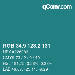 Color code: RGB 34.9 128.2 131 | qconv.com
