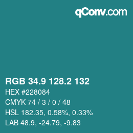 Farbcode: RGB 34.9 128.2 132 | qconv.com