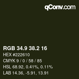Color code: RGB 34.9 38.2 16 | qconv.com