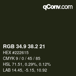 Color code: RGB 34.9 38.2 21 | qconv.com