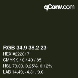 カラーコード: RGB 34.9 38.2 23 | qconv.com