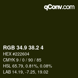カラーコード: RGB 34.9 38.2 4 | qconv.com